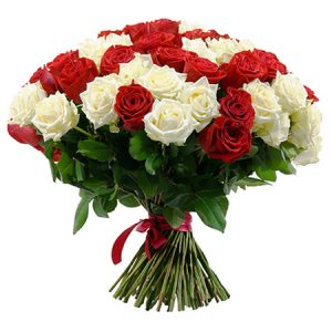 bouquet 30 roses rouges et blanches - Botanica Brussels