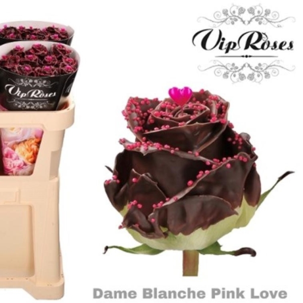 roses en chocolat , enfin presque!